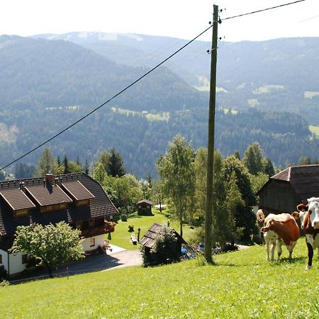 Ferienwohnung Lahnerhof Arriach Exterior photo