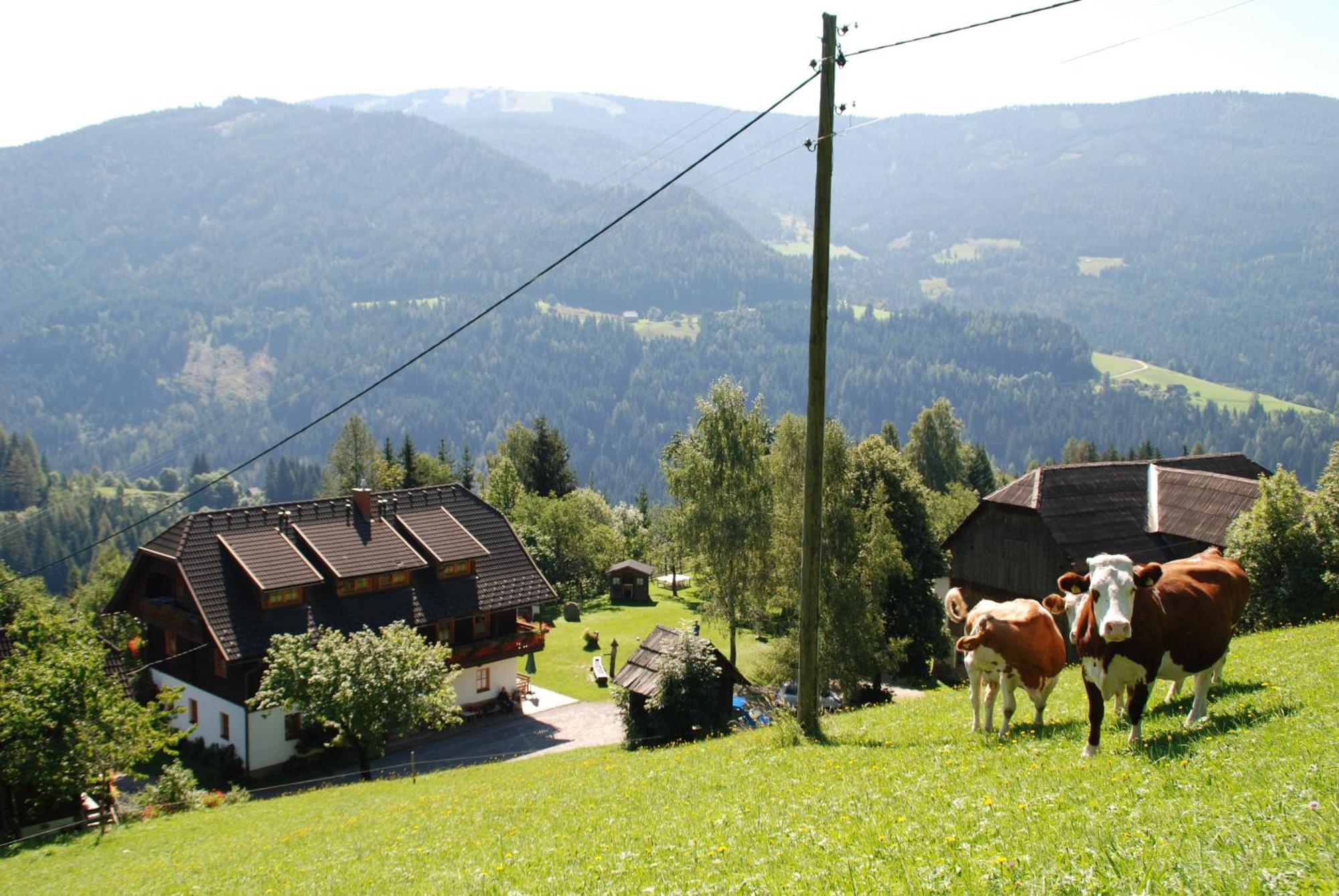 Ferienwohnung Lahnerhof Arriach Exterior photo