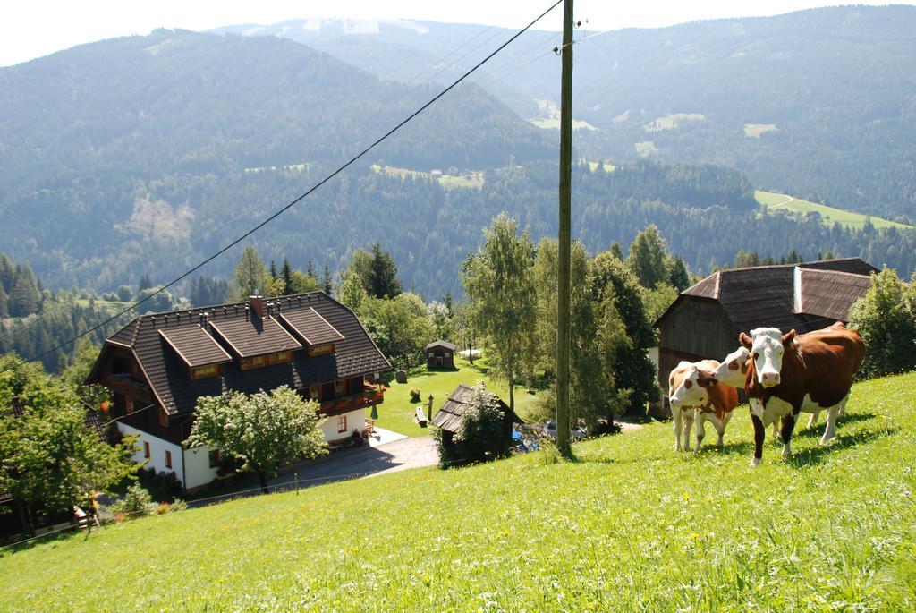 Ferienwohnung Lahnerhof Arriach Exterior photo